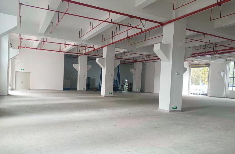 塘厦重工业厂房！一手房东0公摊直租 一楼带牛角五金压铸塑胶等