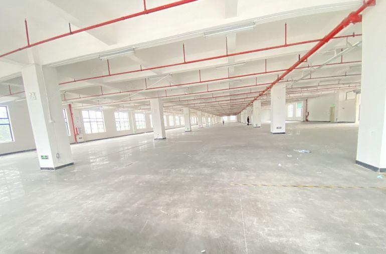 塘厦  原房东  特价6元  适合电子五金注塑家具纸箱等等