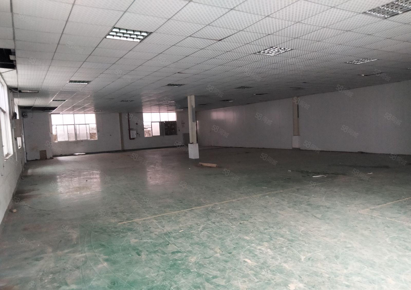 塘厦镇莲湖原房东单一层500平方