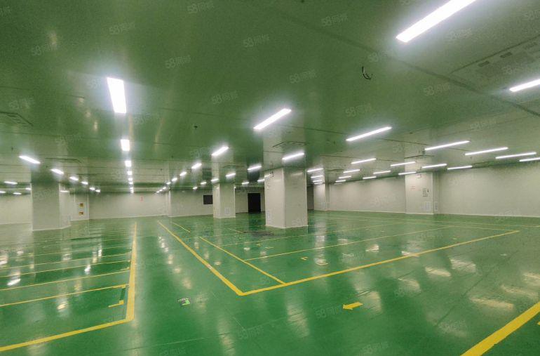 塘厦林村高速口2800平现成装修标准厂房，3吨货梯，大小分租