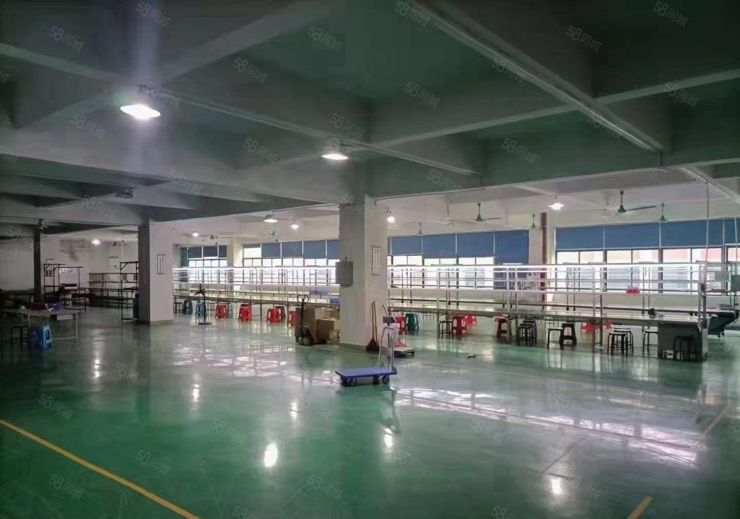 塘厦凤凰岗红本厂房出租1500平二楼 带装修水电齐大小可分