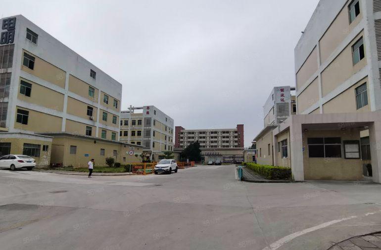 塘厦太阳城工业园一楼2000平厂房出租精装修500平起分租