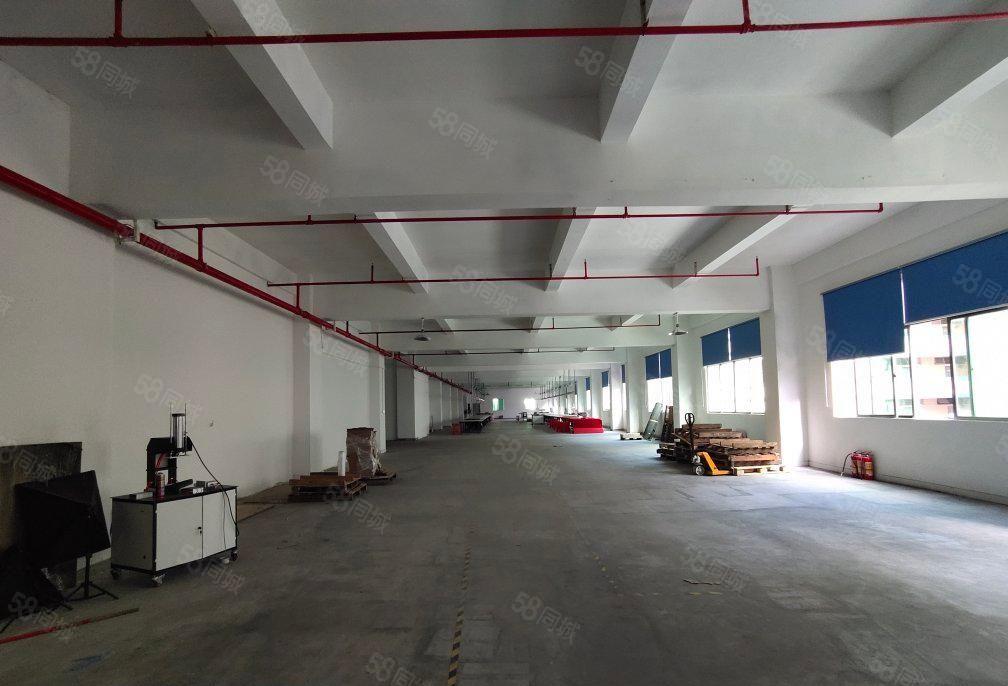 塘厦沙湖独栋标准厂房1000平，现成装修无转让费用，房东本地