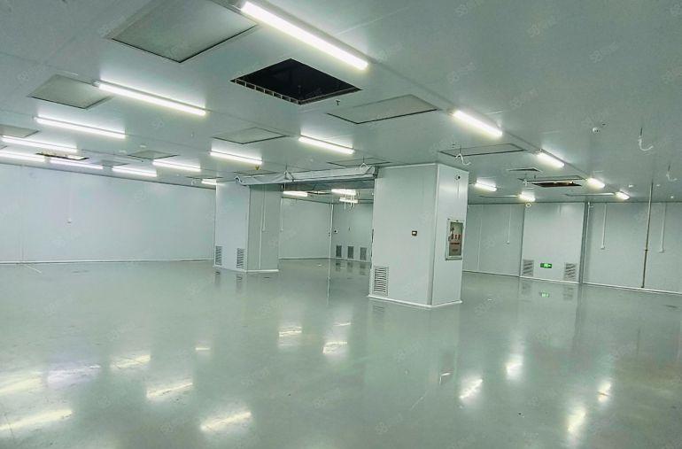 0公摊塘厦原房东1230平厂房电商电子仓库出租精装修