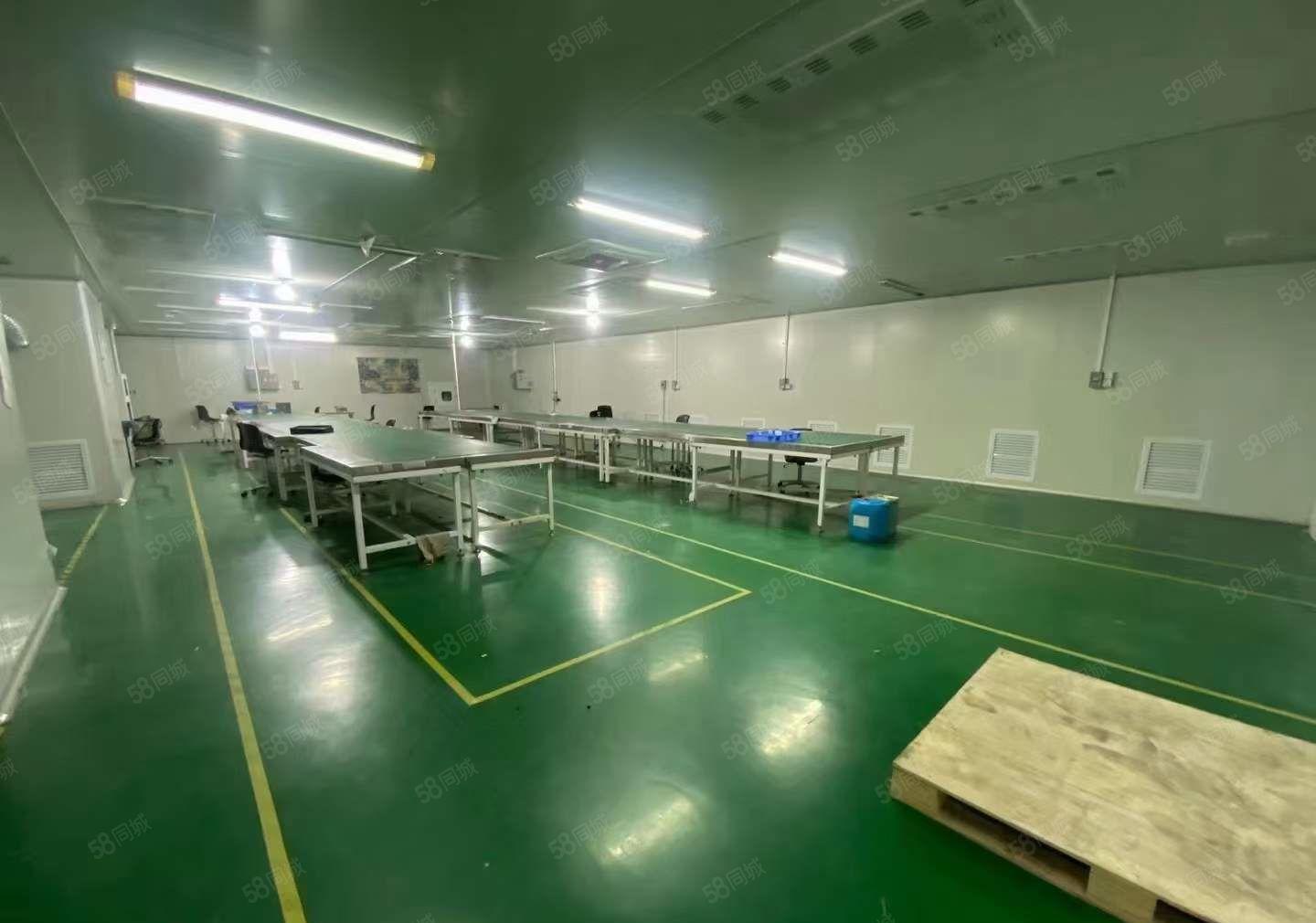 无转让费 塘厦莲湖十万级无尘车间厂房出租1680平 拎包入驻