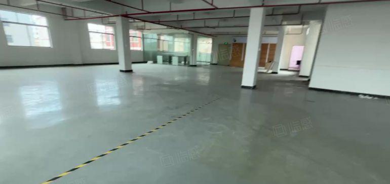 塘厦凤凰岗480平整租！价格优惠，原房东直租，整洁装修