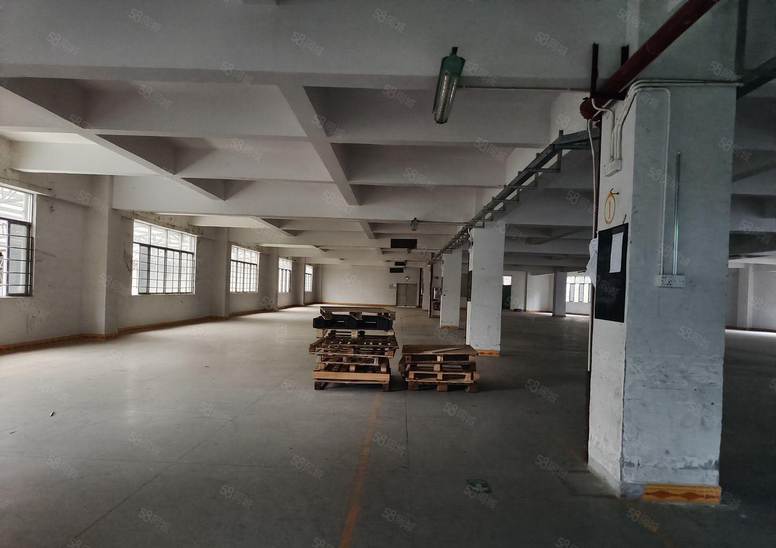 塘厦独门独院厂房出租，面积是4425平方，可整租可分租