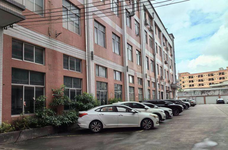 塘厦镇新出一楼6米高带地坪漆标准厂房1800平低价出租