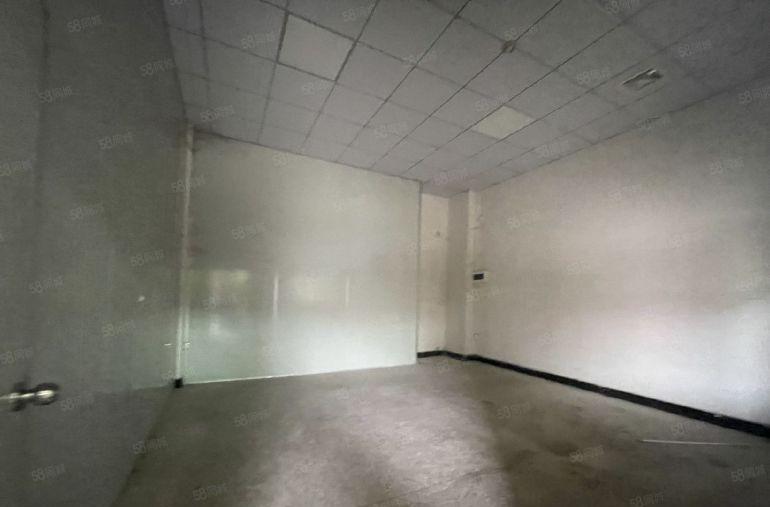 塘厦石鼓大路边一楼238平仓库厂房出租，现成装修原房东直租