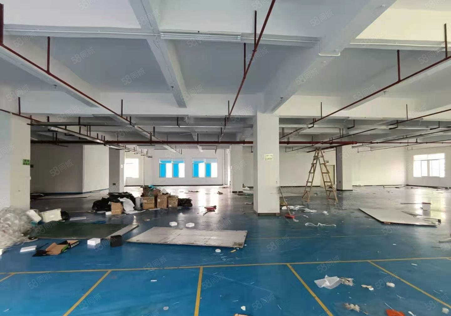 塘厦原房东无尘车间出租，近高速口，厂房花园式厂房