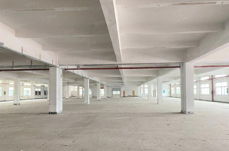 塘厦镇靠近观澜园区分租12楼7000平，现成水电豪装办公室