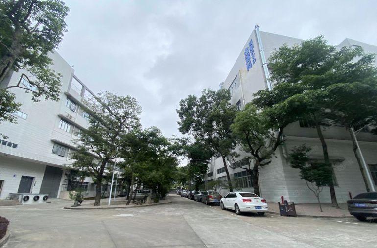 塘厦龙背岭原房东直租标准3楼1200平方！现成格局装修