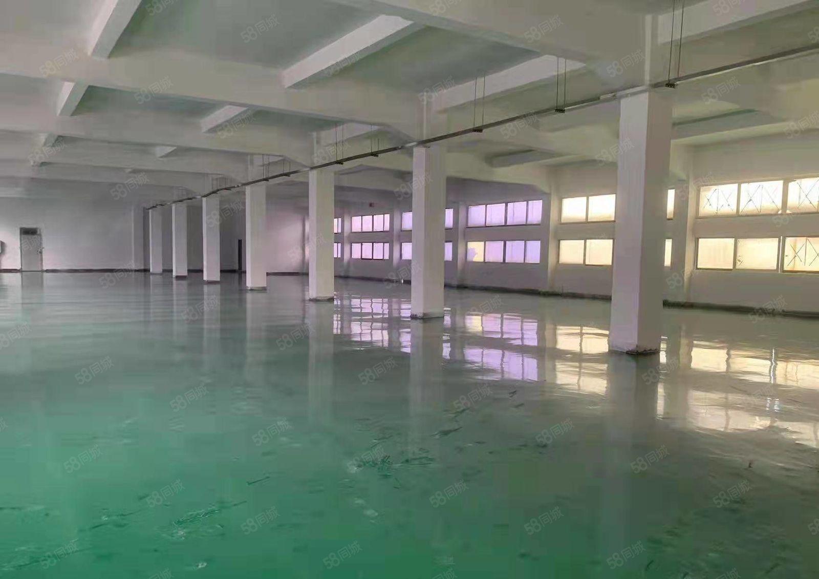 东莞塘厦镇石马新出楼上标准厂房500平米出租