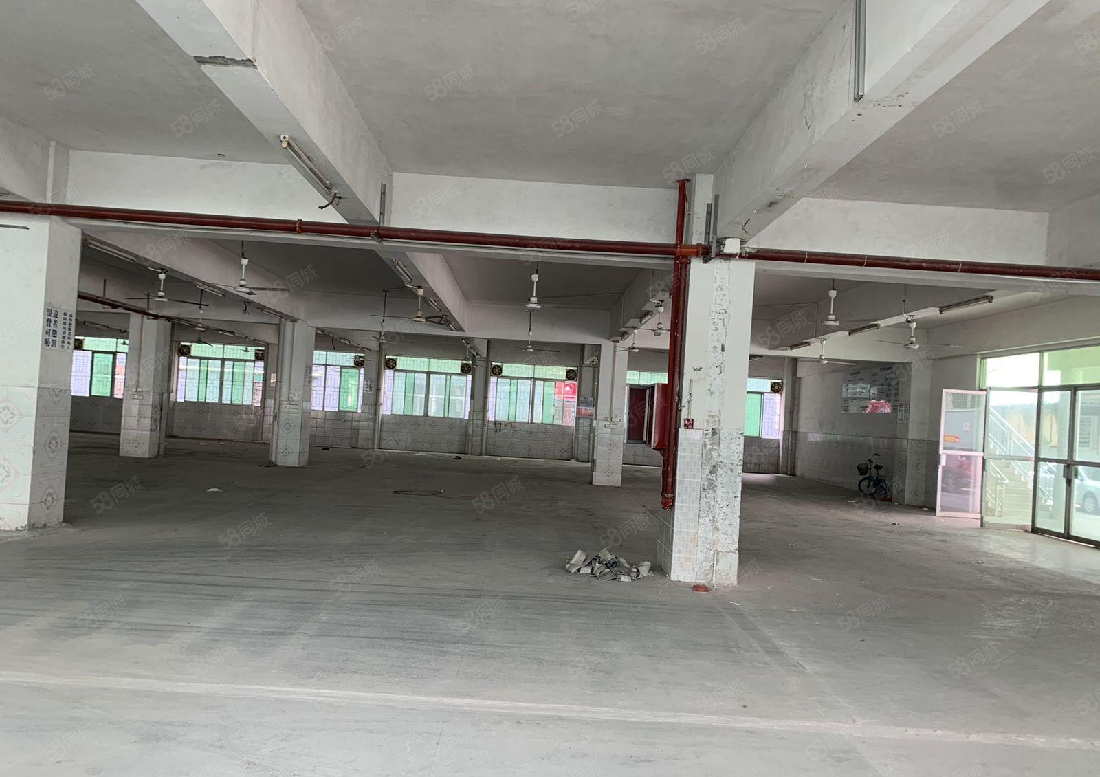 塘厦清湖头大园区楼上2300平整层出租，地理位置优越，绿化好