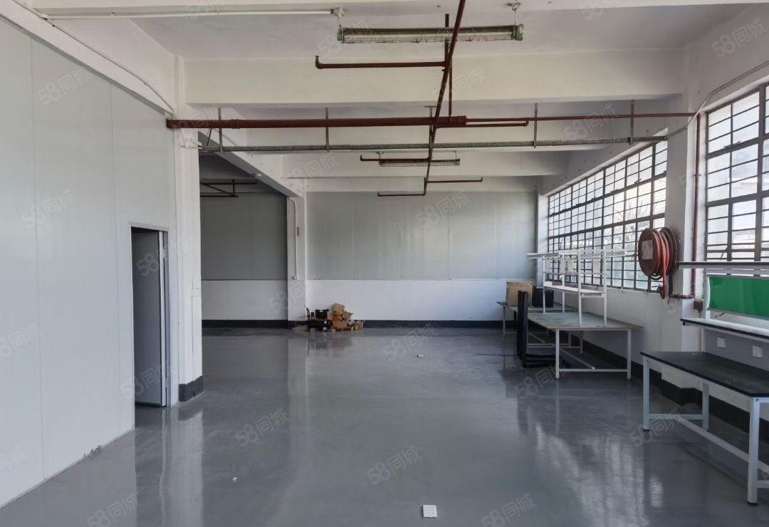 新出沙湖楼上520平租19元，精装修，挺车位充足