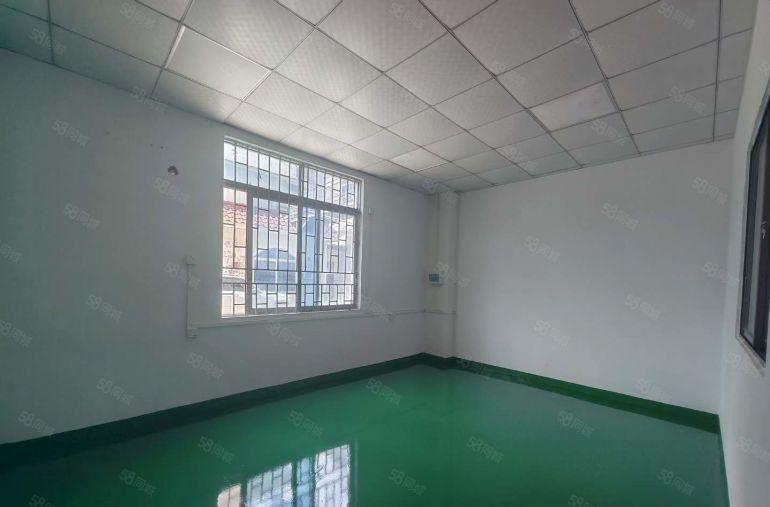 塘厦四村标准一楼580平小面积仓库厂房出租，全新精装修