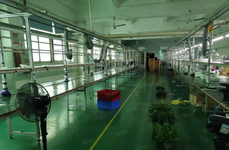 塘厦清湖头独栋5000平单层1000平方带装修厂房仓库出租