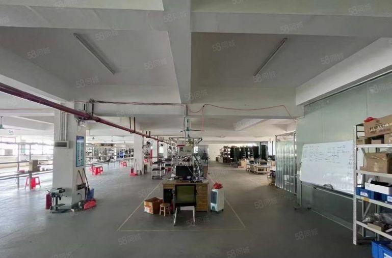 大坪高速口花园式厂房招租整层1500平可分租带装修消防喷淋