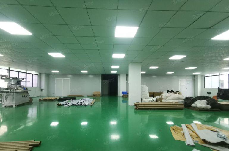 田心原房东红本工业园免装修无尘车间1800平，价格优惠好招工