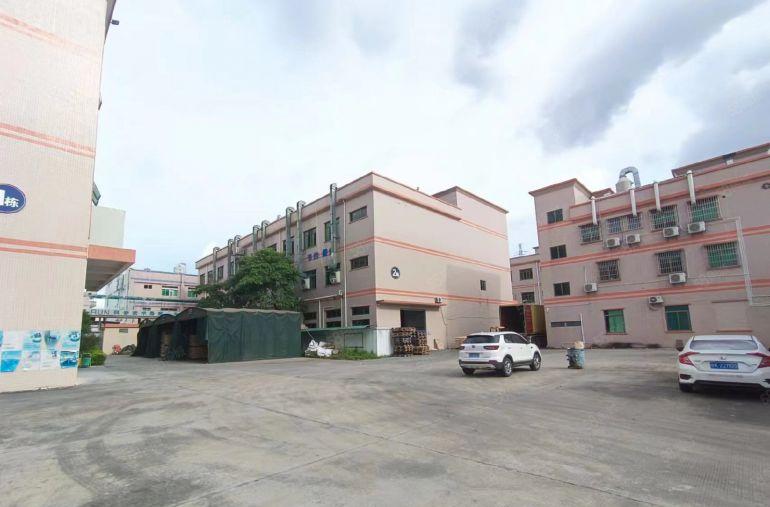 上市公司形象塘厦新出原房东独院厂房出租适合五金注塑抽粒