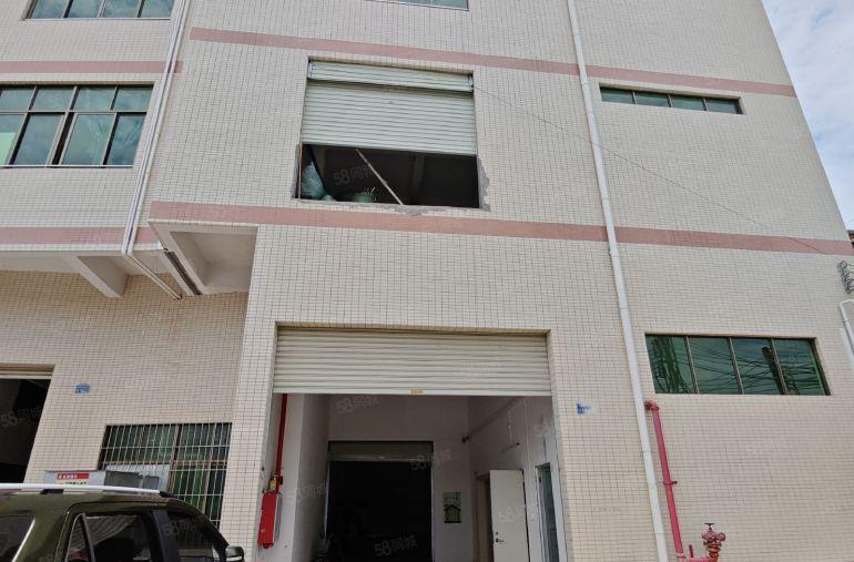 田心标准一楼260平方特价15元高度6米货车9.6米直达门口