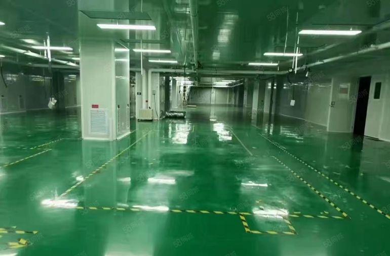 新出楼上整层2000平精装修无尘车间拎包入驻 原房东实际面积