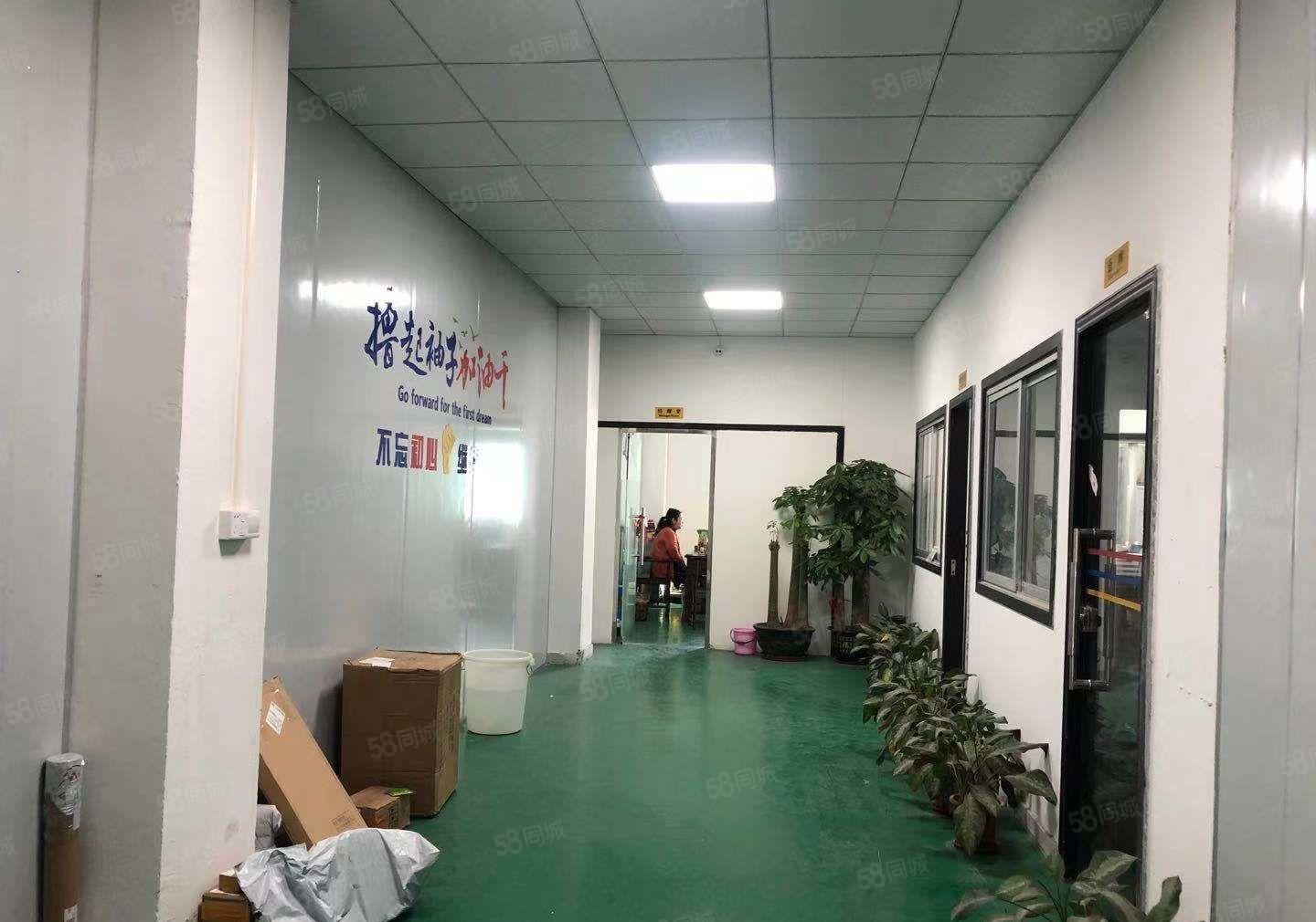 报价20元现成装修，随时可以空出，石鼓新出楼上480平方厂房