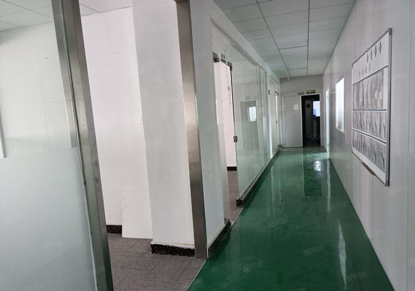 塘厦莲湖独院标准3楼800平方，电子车间小面积厂房出租便宜租