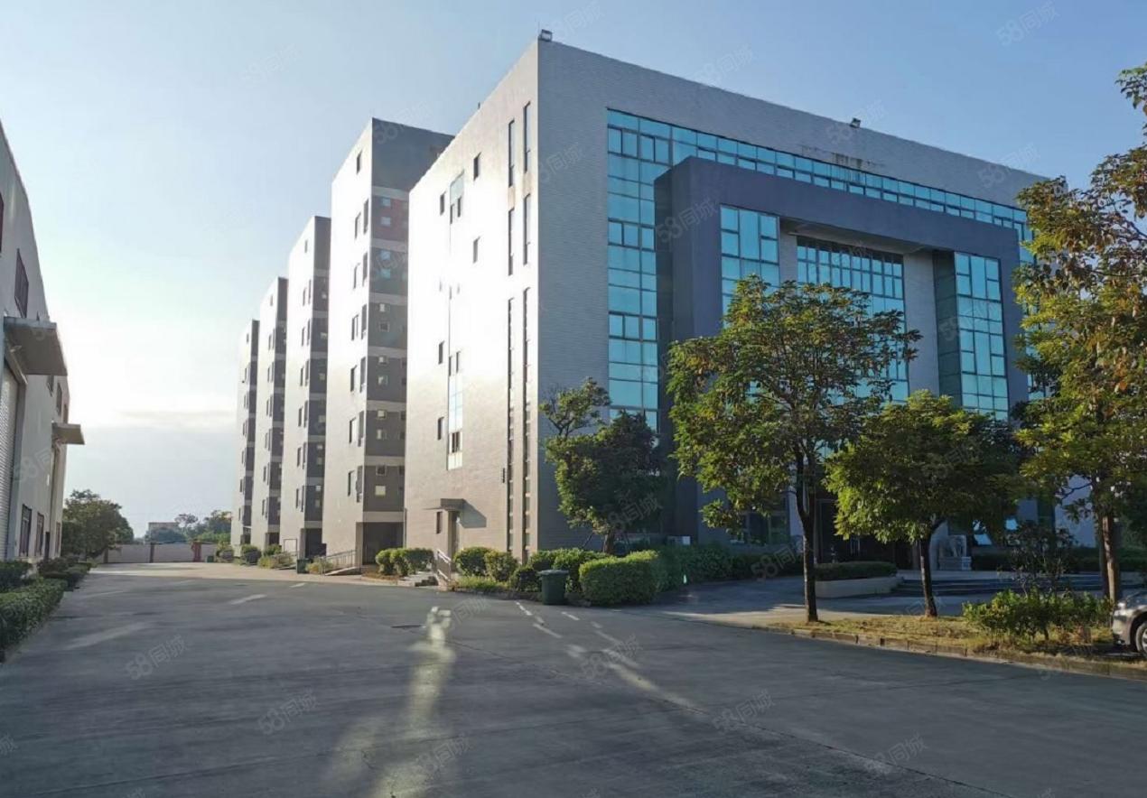 塘厦工业园出租单一层5万平钢构厂房，滴水13米，国有工业用地