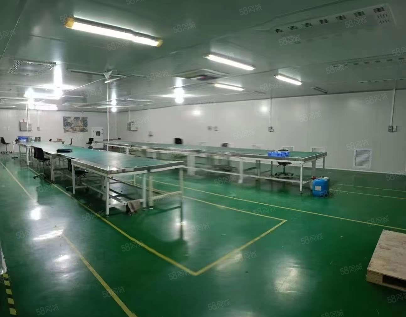 塘厦莲湖十万级无尘车间车间出租1680平 手机屏 电子SMT