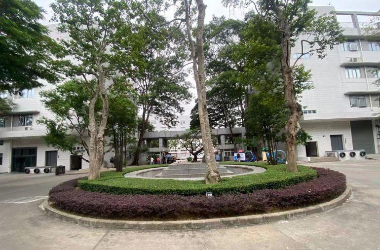 塘厦龙背岭原房东直租标准3楼1200平方！现成格局装修