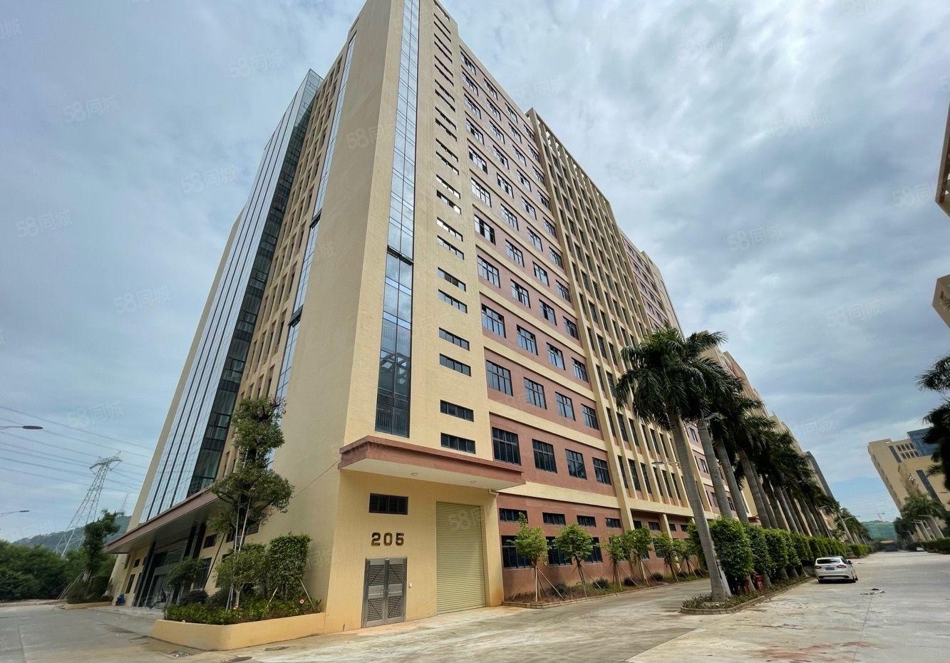 塘厦大坪科苑城 1300平实际面积出租精装厂房  无转让费