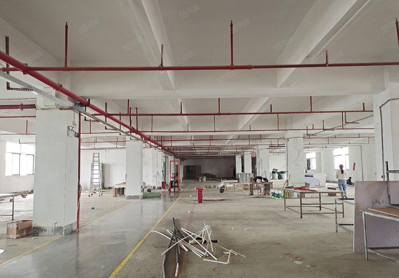 原房东 沙湖靠深圳 标准厂房带办公装修园区形象好空地大