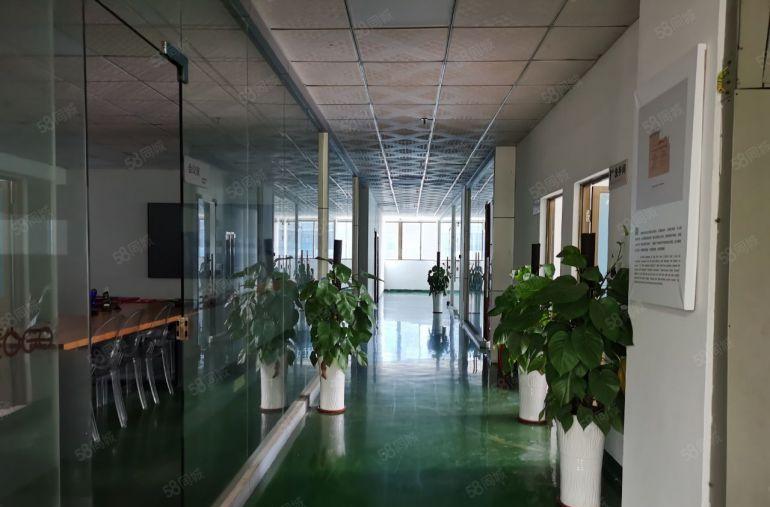 塘厦科苑城新出原房东楼上2600平厂房仓库出租，大小分租