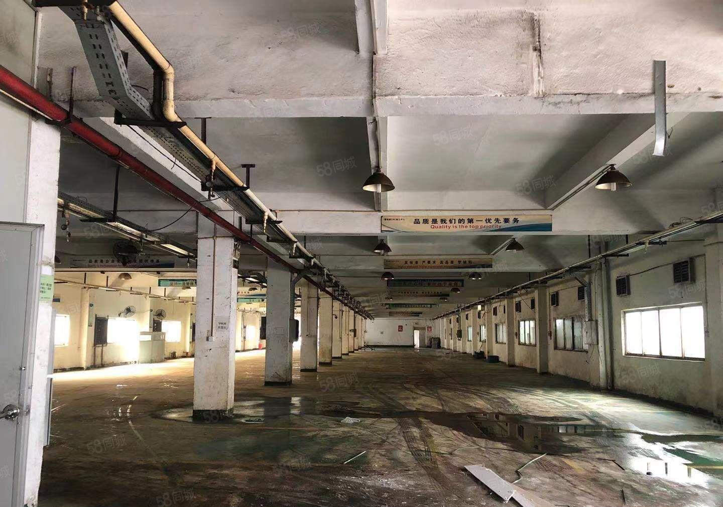 塘厦原房东厂房出租，2楼实积面积是1196.47平方