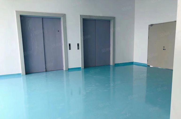 东莞塘厦清湖头450平精装出租适合做仓库电子等