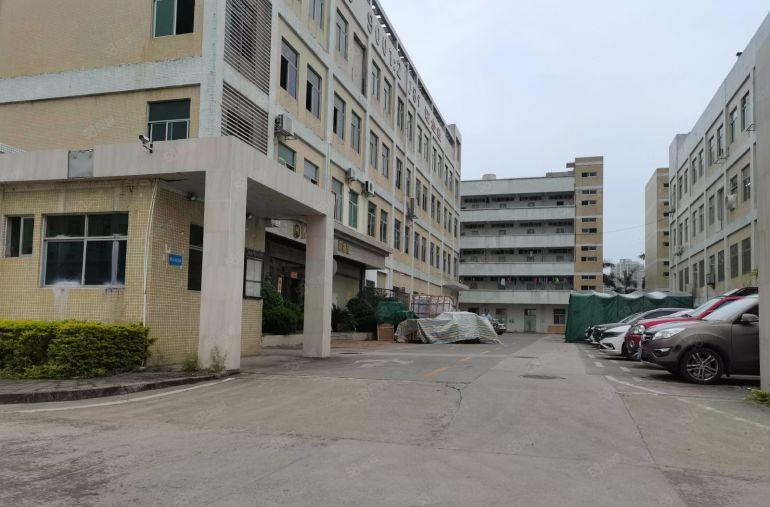 塘厦太阳城工业园一楼2000平厂房出租精装修500平起分租