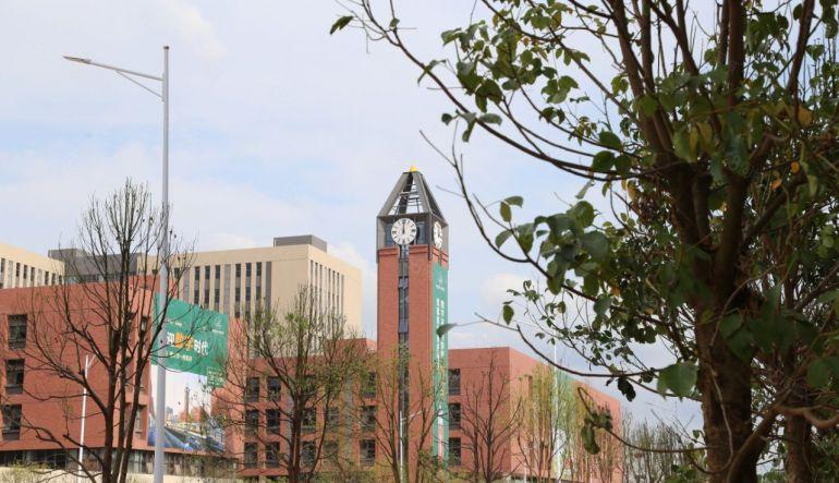 塘厦花园式全新红本厂房35万平方，实际面积出租，享政府补贴。