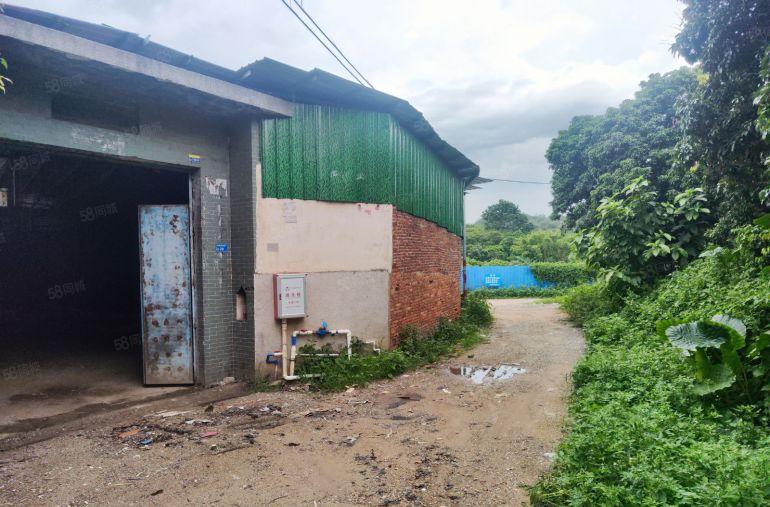 东莞市塘厦镇500平方偏僻小独院钢构可做小污染。本地佬急租