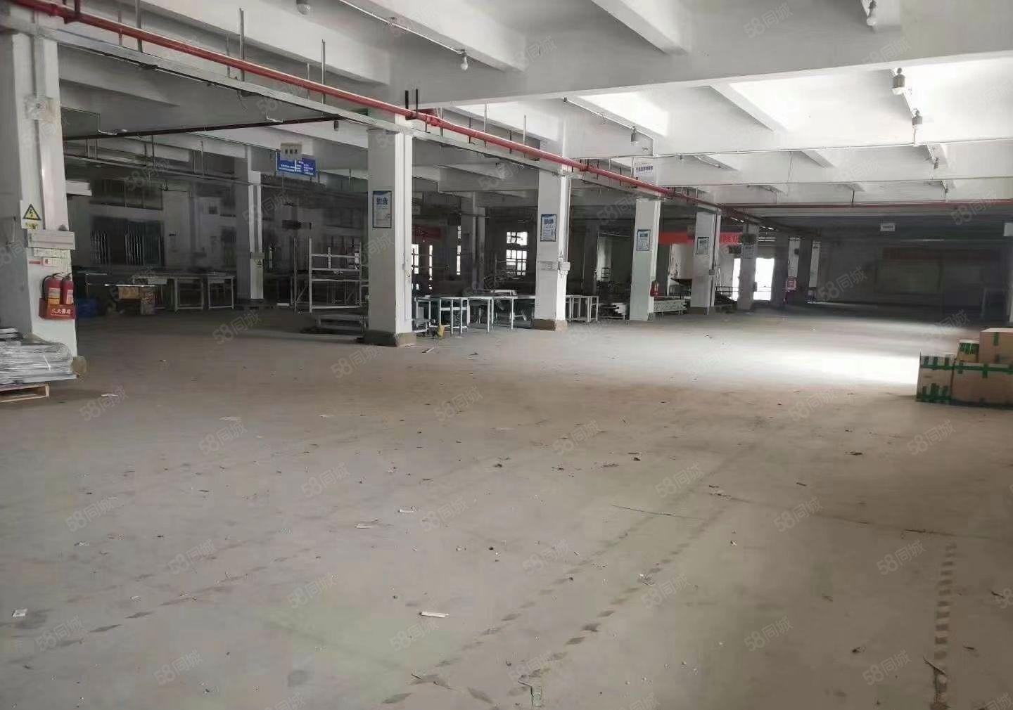 塘厦靠黎光新出原房东独院厂房招租