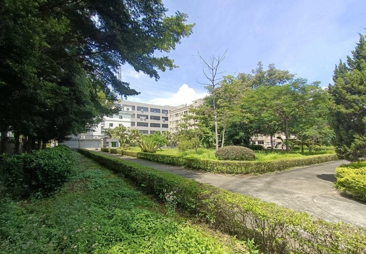 塘厦高速口花园式15000平独院厂房出租，装修环境好，空地大