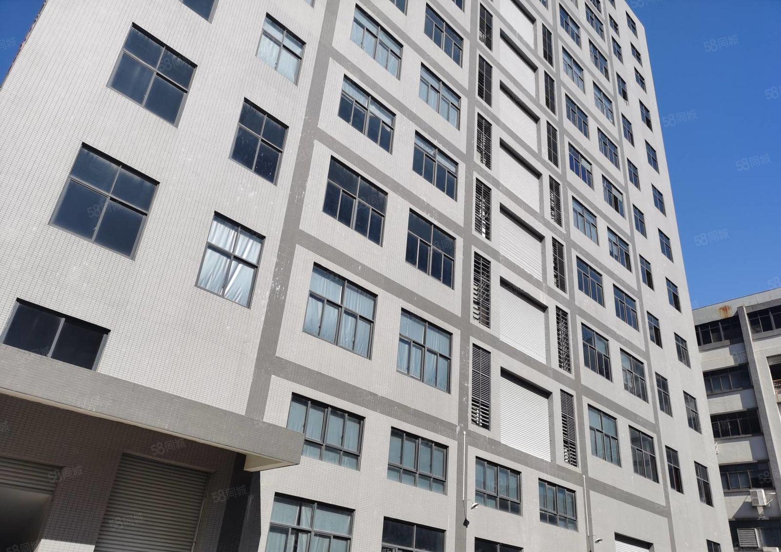 塘厦诸佛岭原房东楼上2300平米带装修厂房，拎包入驻