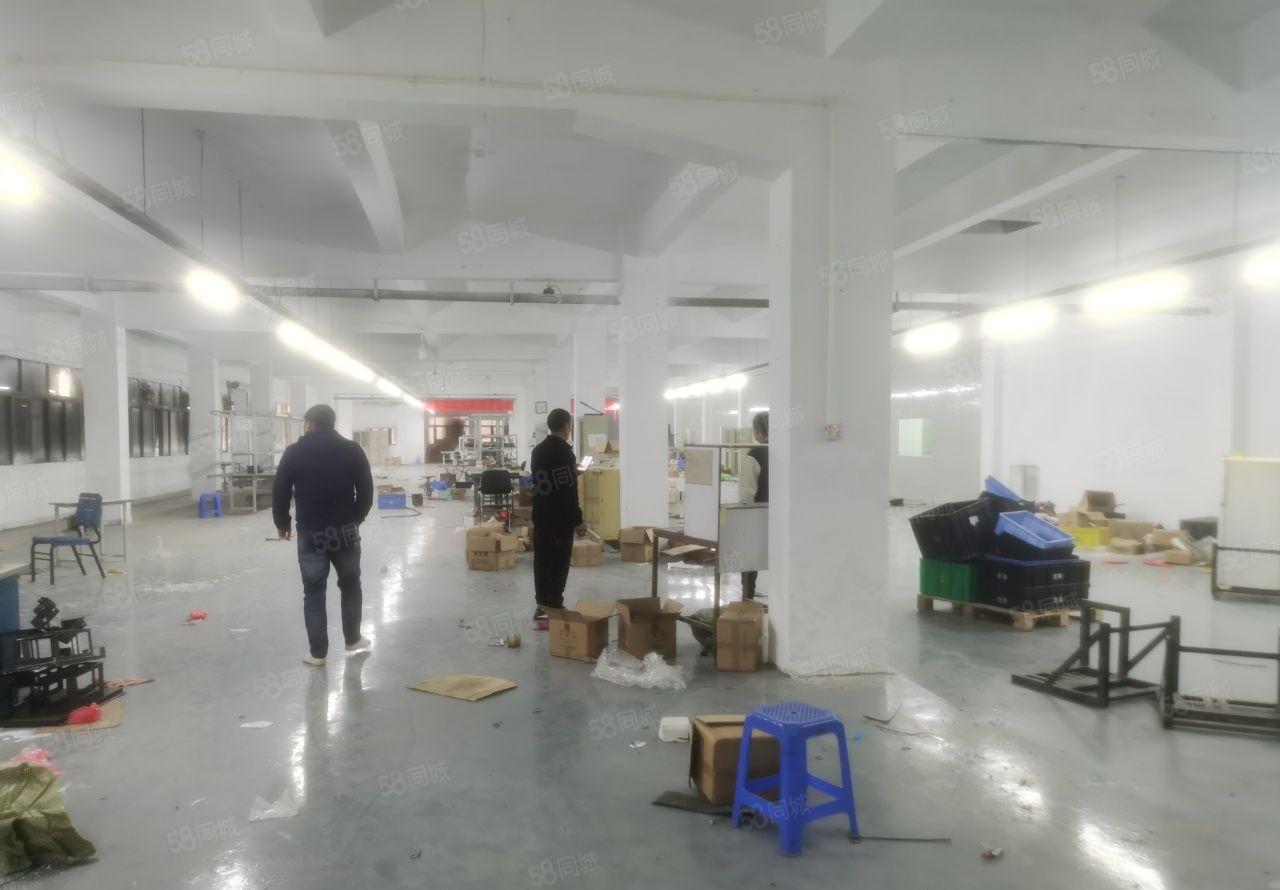 原房东直租，塘厦138工业区新出原房东楼上2650平厂房仓库