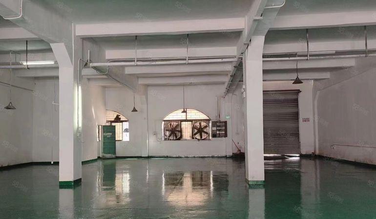 塘厦振兴围1楼550平带办公室全新地平漆工业厂房出租