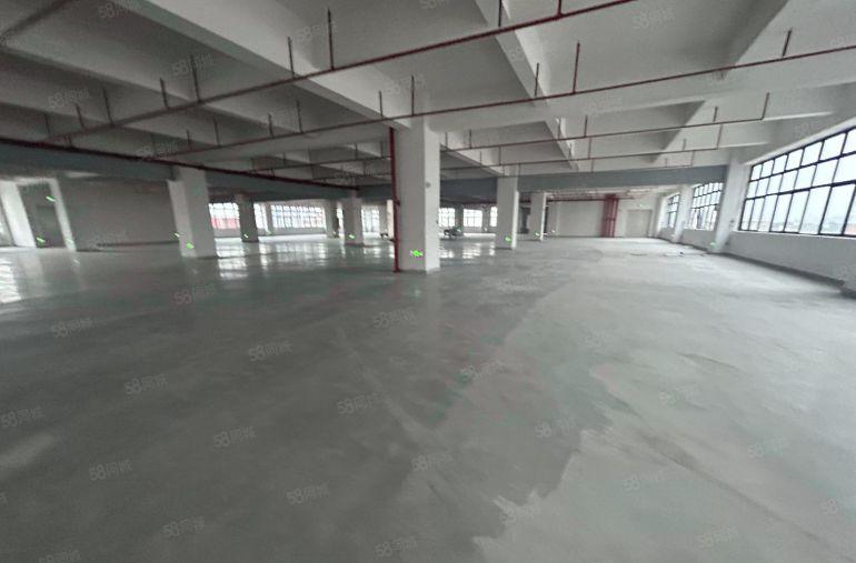 塘厦平山全新标准6楼2550平方，消防喷淋齐全，主线到车间！