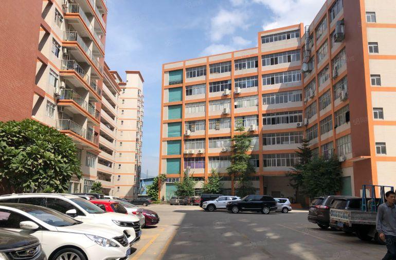 塘厦新出豪华装修1200平方原房东红本厂房