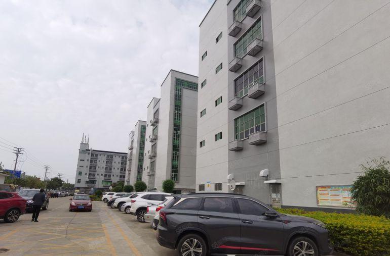 超低价塘厦原房东8000平厂房出租仓库现成办公室装修