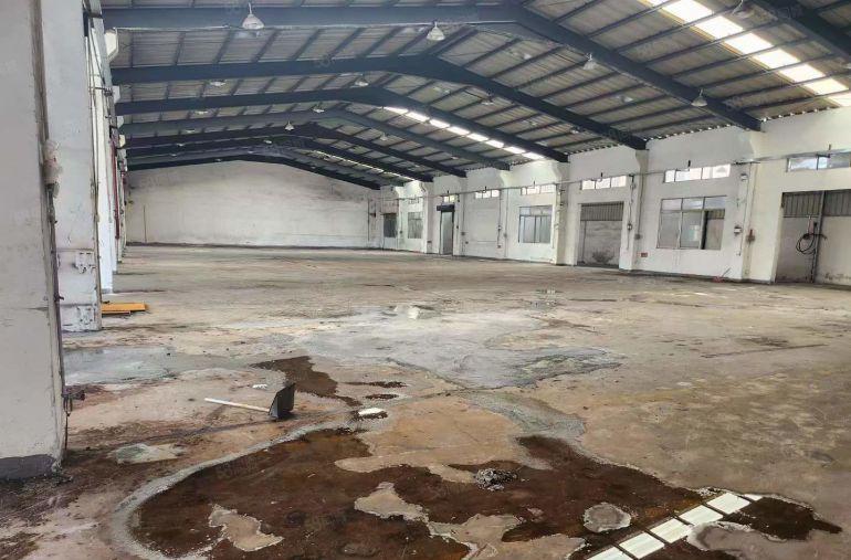 塘厦迎宾高速口2586平独栋钢构厂房出租空地超大，带办公装修