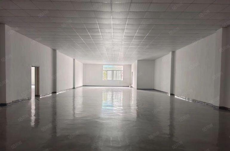 塘厦原房东小面积厂房出租，全新吊顶地坪漆，交通方便