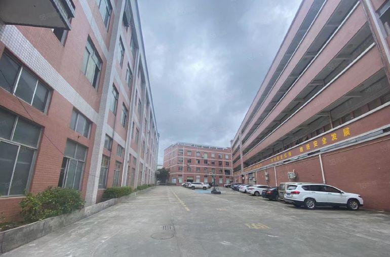 塘厦镇中心全新豪华装修楼上850平方